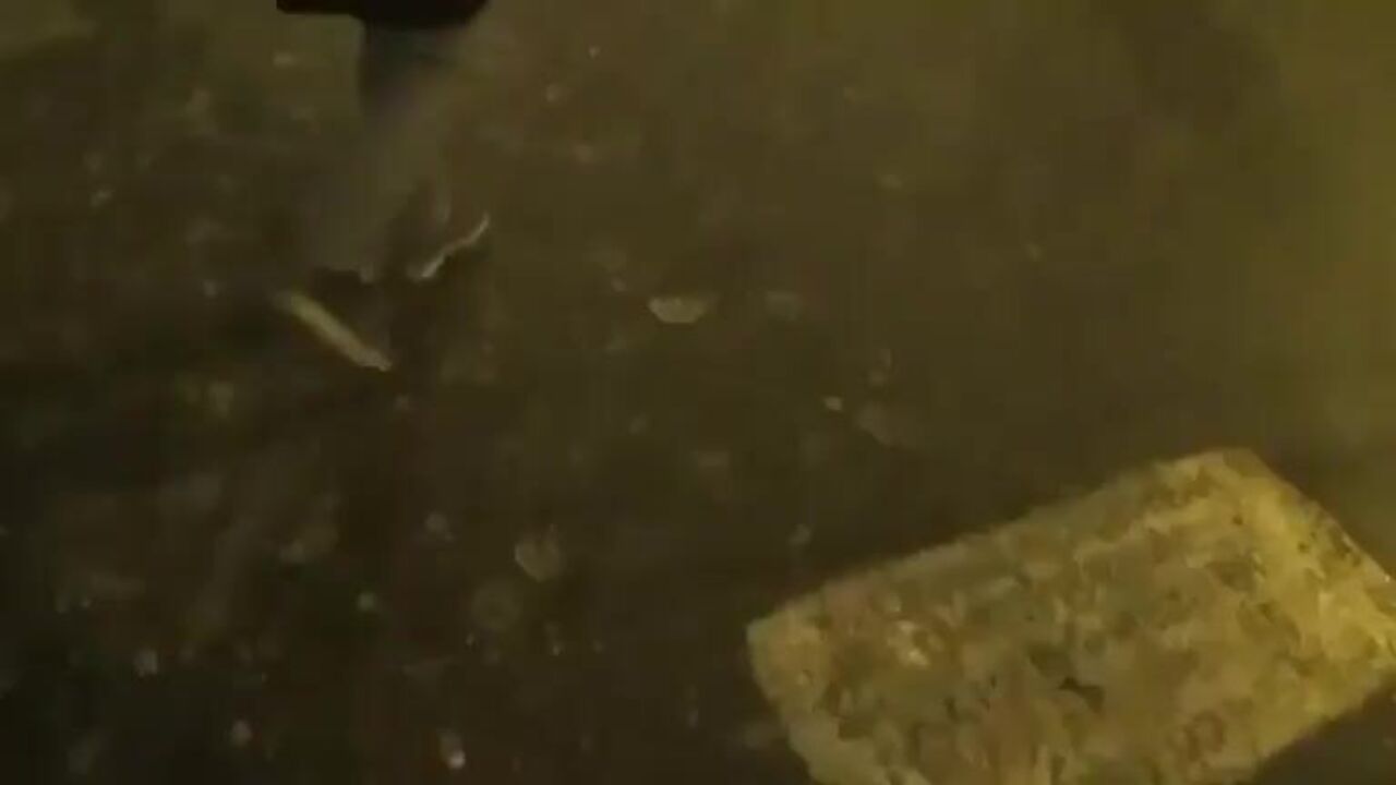 SweetBettyParlour goes wild in public eating scat in front of cameras