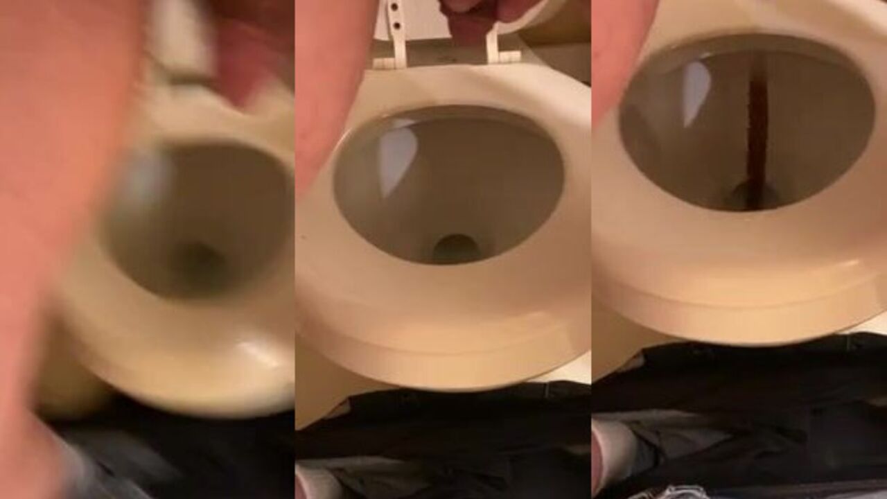Enjoy the view as this slut takes a dump in her own scat!