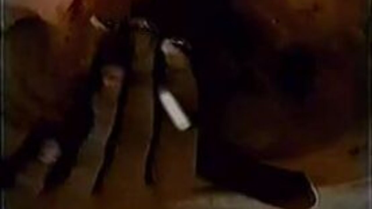 Get up close and personal with the scat-filled lives of your favorite pornstars