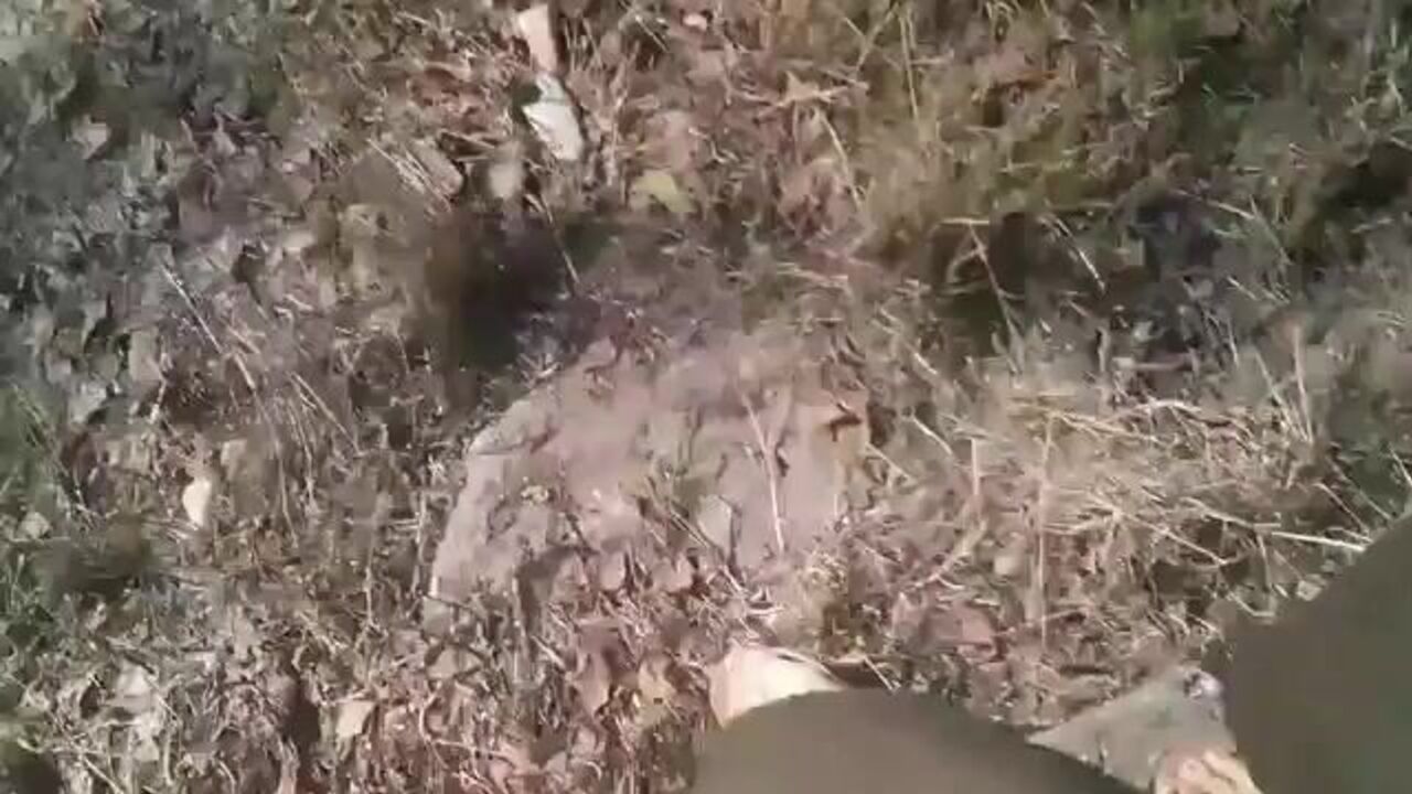 Watch this scat fetish porn video of a poop slave getting her pussy pounded hard