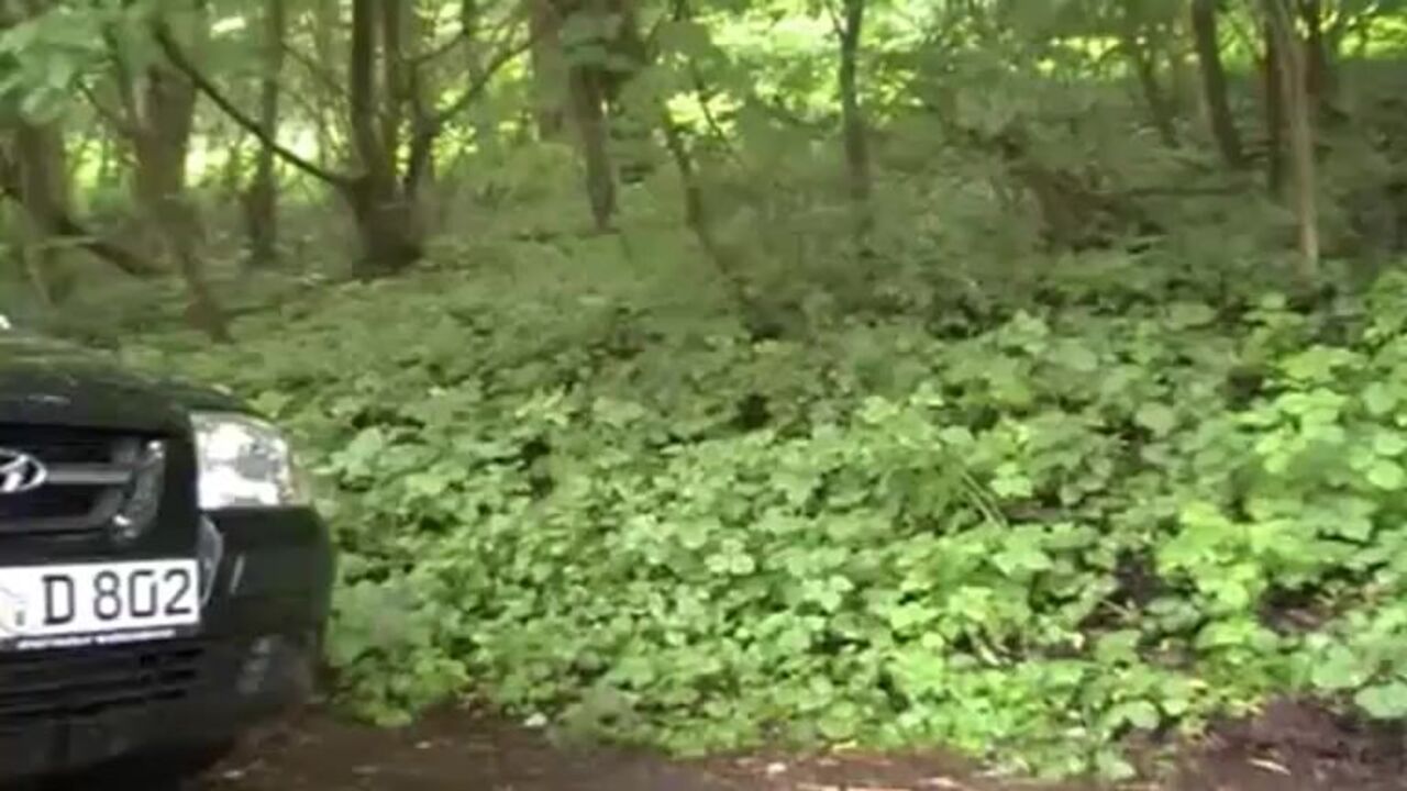 Watch this filthy porn video of a scat slave getting dumped and scatting like a pro