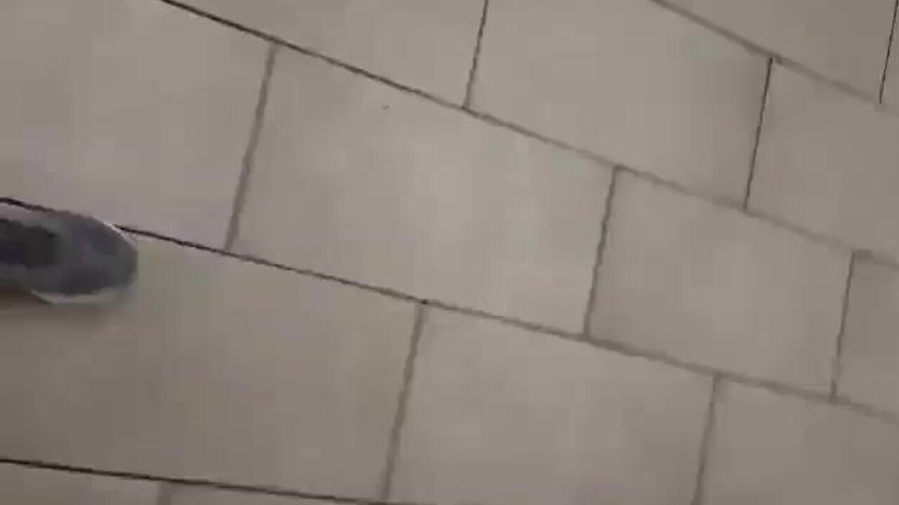 Watch as these kinky sluts get off on scatting and filthy video action