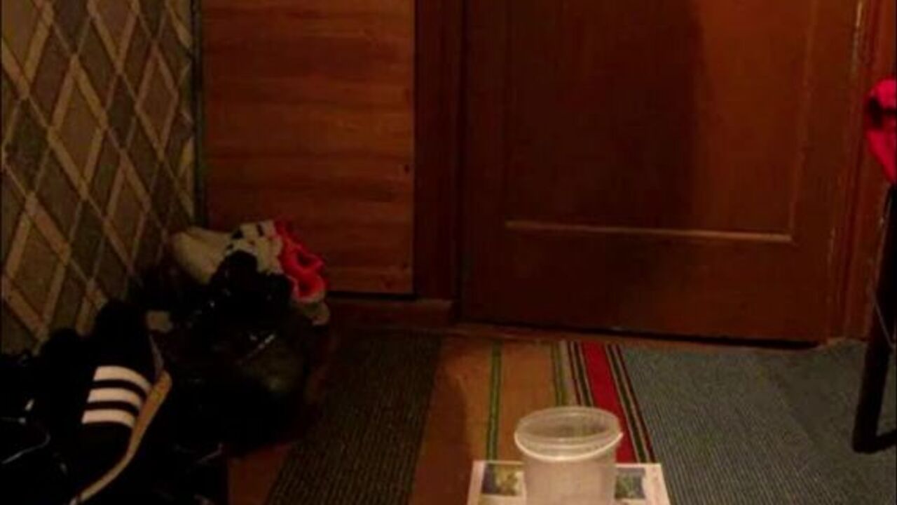 Watch these filthy scat videos as women get their butts filled with poo