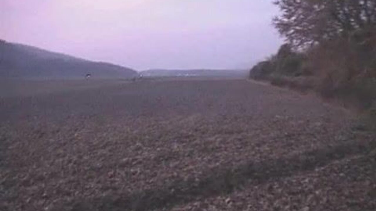 Nice long scat play - watch this scat slave get a hard pounding