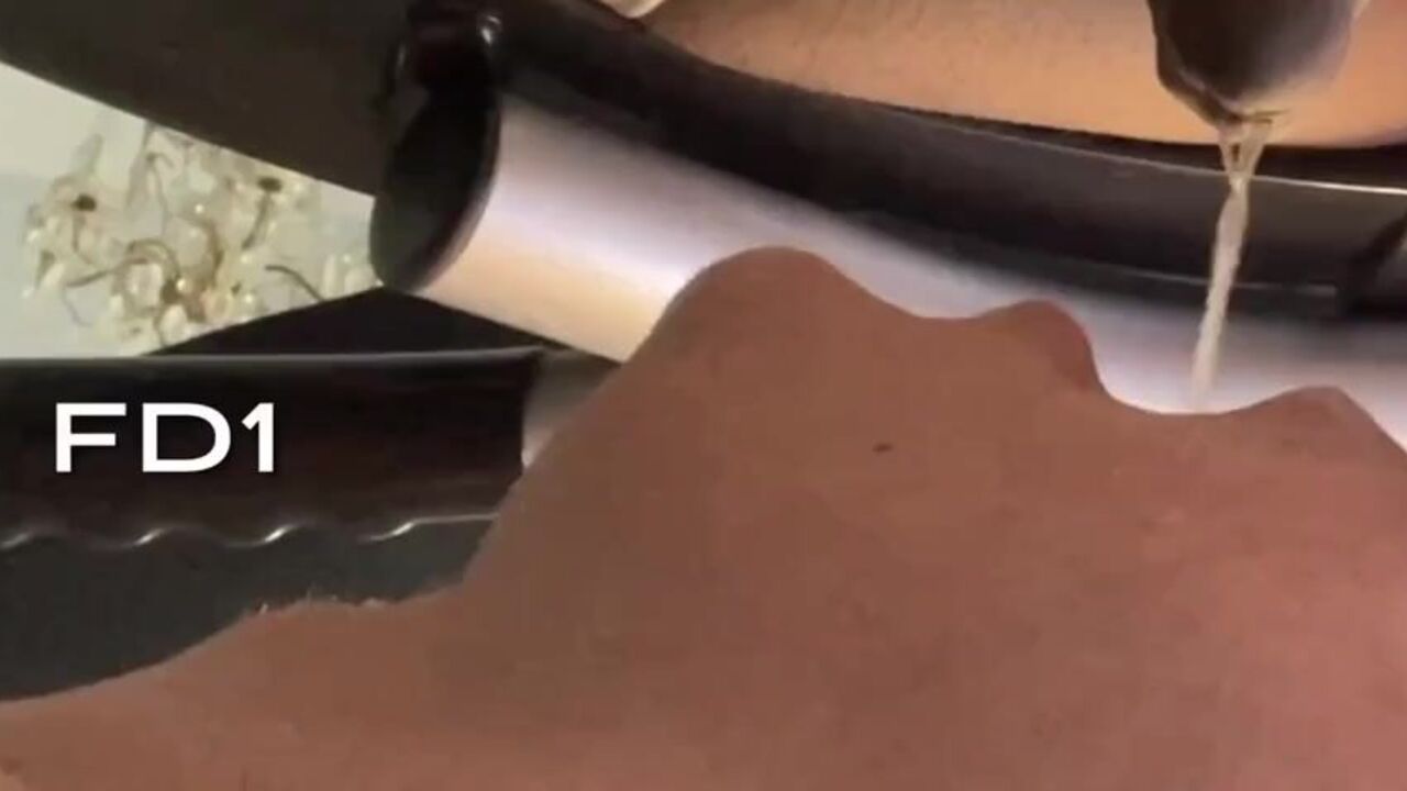 Get up close and personal with a wild and kinky feeding frenzy!