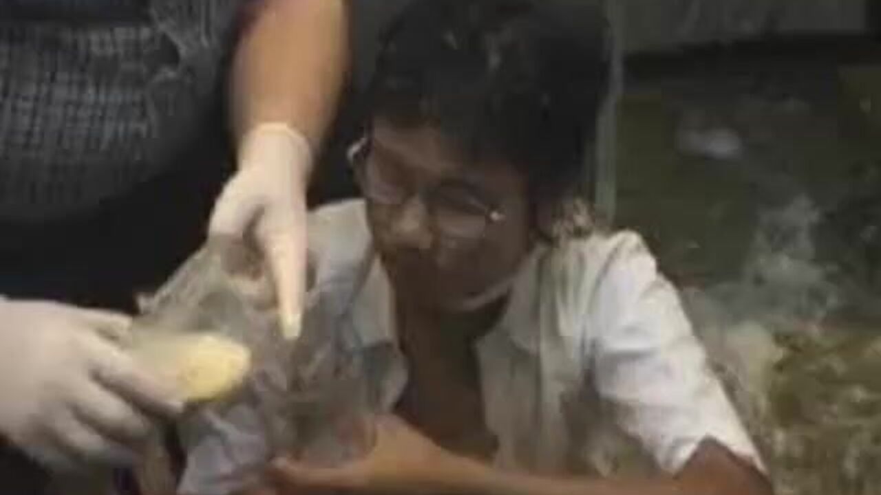 Watch these kinky Thai slutty scat parties - Shit-party_2mp4