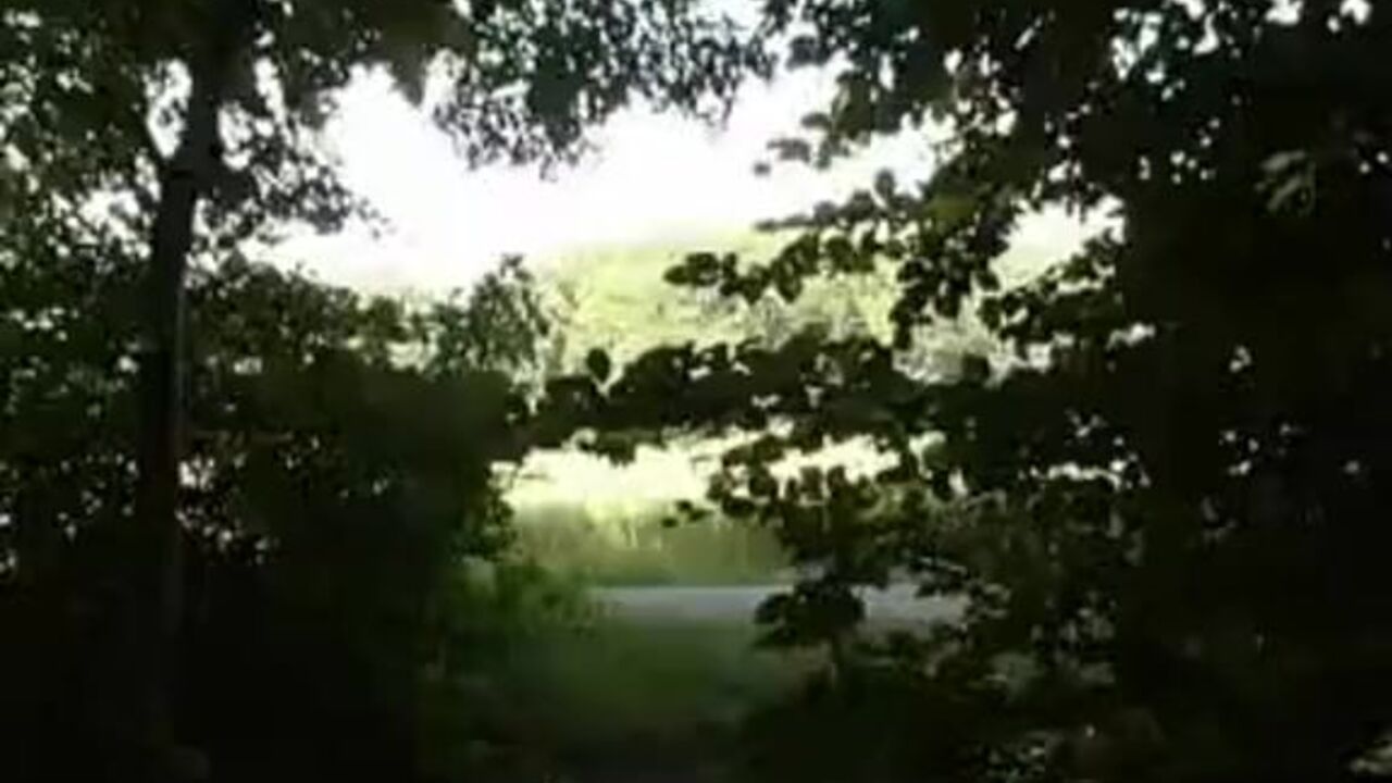 Get ready to be filled with scat, kaviar and other kinky semen in your car