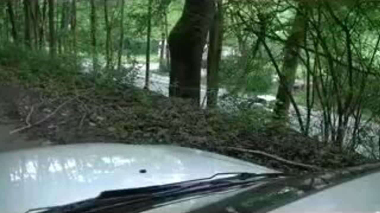 Watch this dirty slut shitting on a white car hood like a scat queen