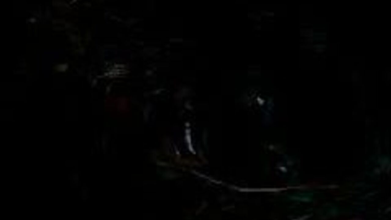 Tyler gets his scat fetish satisfied in this POV video of him getting it on with a scat girl.