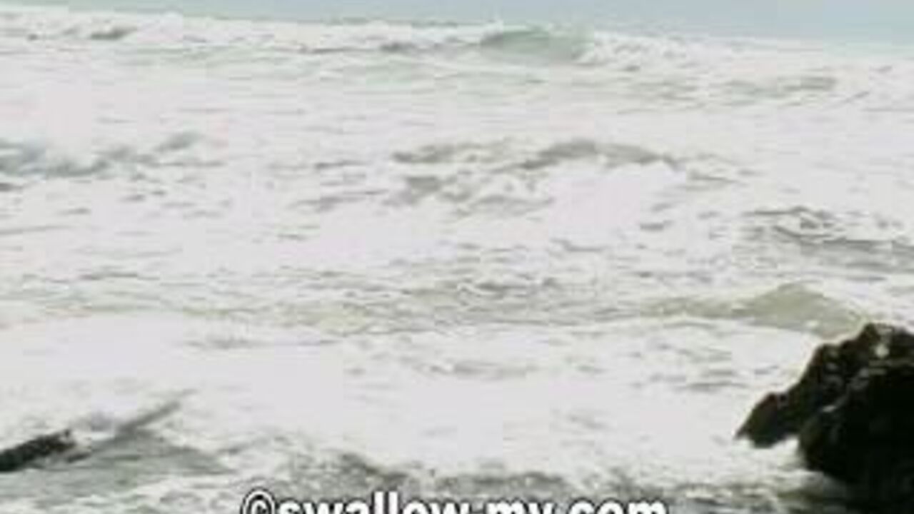 Lucy Shits gets a kinky scat session in this porno video