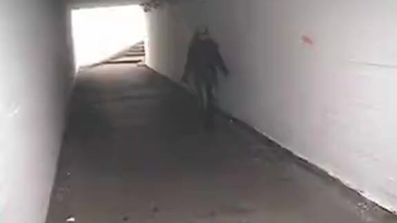 Watch these kinky European teens without the need for a toilet, scatting and peeing in the toilet