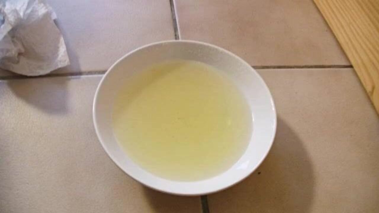 Watch as these filthy sluts get their pussies stuffed in this scat porn video