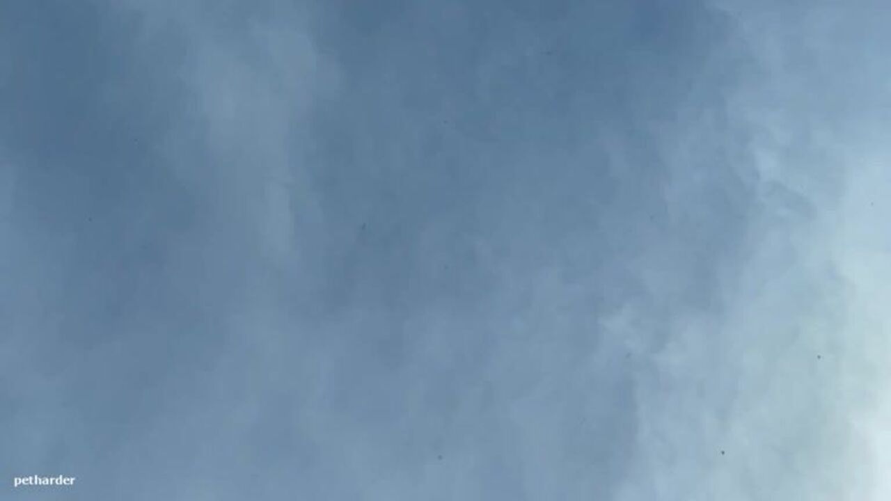 Watch this dirty scat video of a poop car girl getting her pussy and ass fucked hard