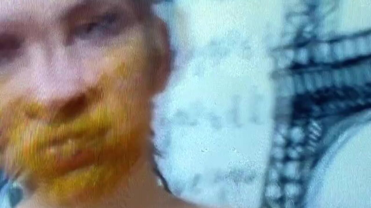 Wild freak's scat collection is the best!