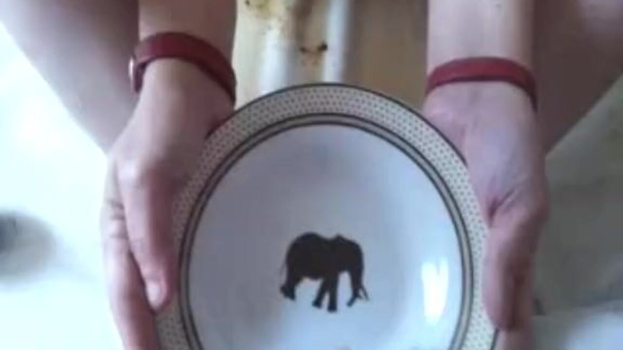 Watch this filthy scat video of a messy slave getting a messy dinner