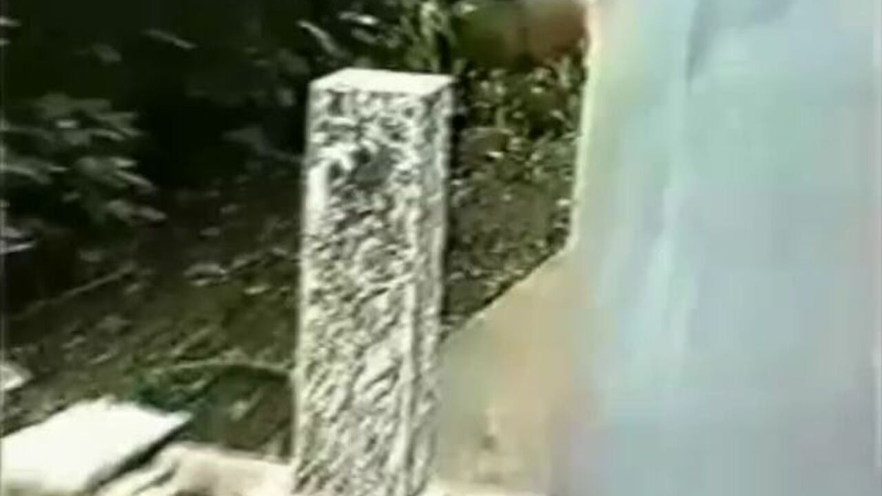 Watch these kinky women get their pussies and butts out in public and get their loads