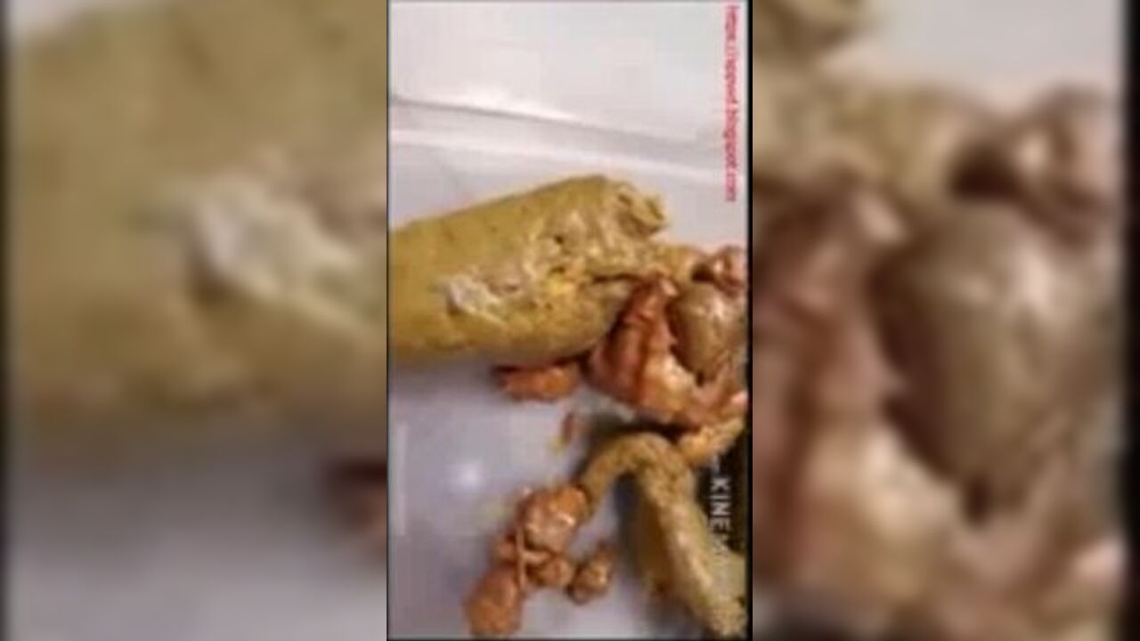 Watch this life-affirming scat porn video featuring a scat slave getting pooped out