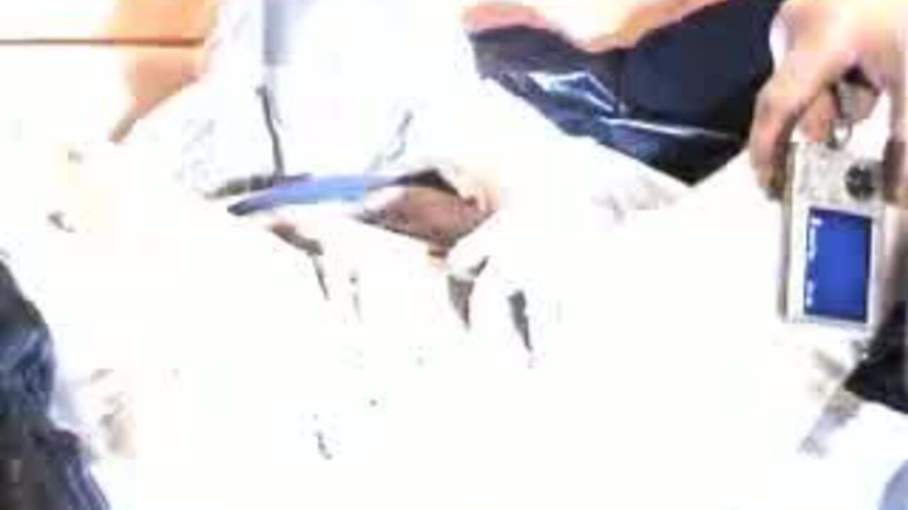 Watch as both men and women get down and dirty with Scat's filthy mouth