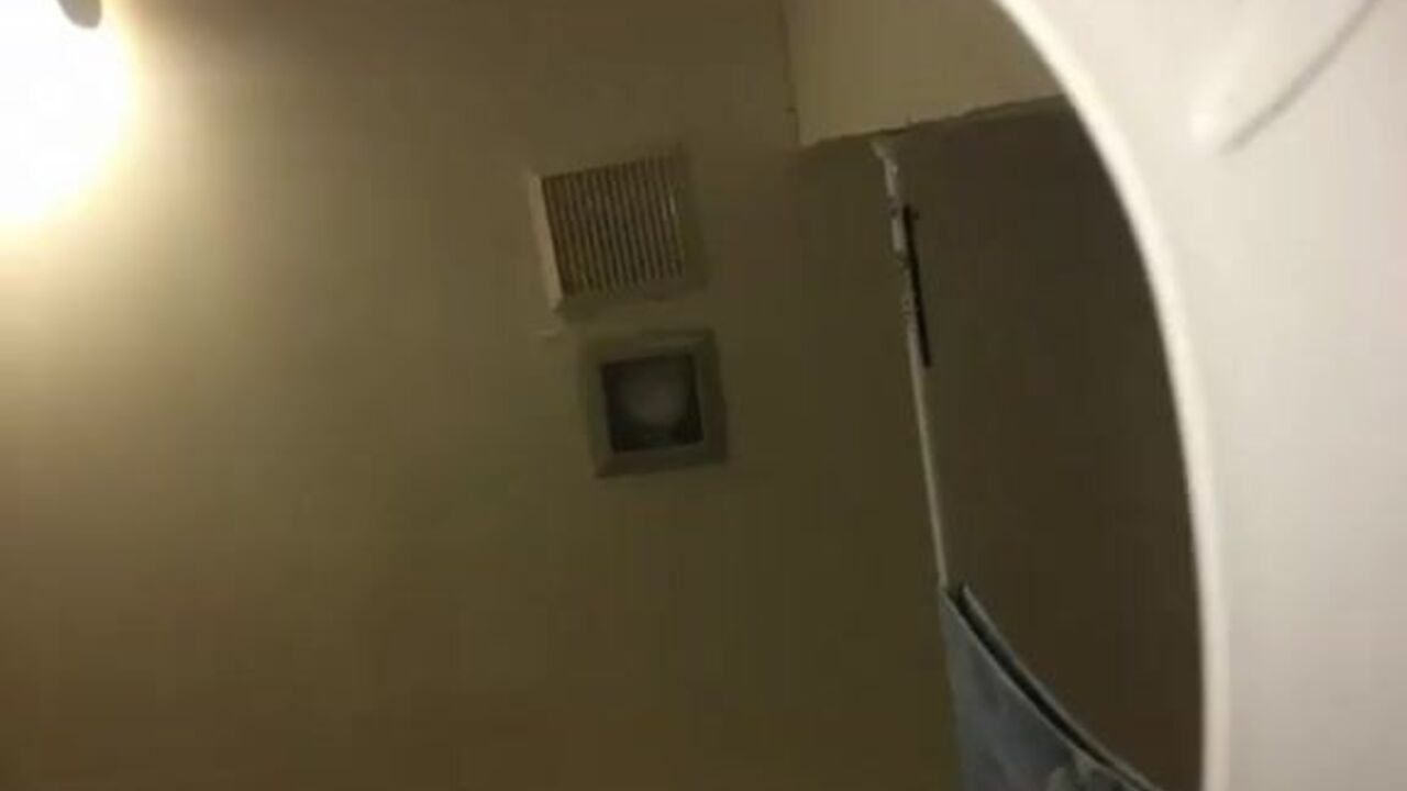 Hot Booty Slave Expels Herself with a Hardcore Scat Session