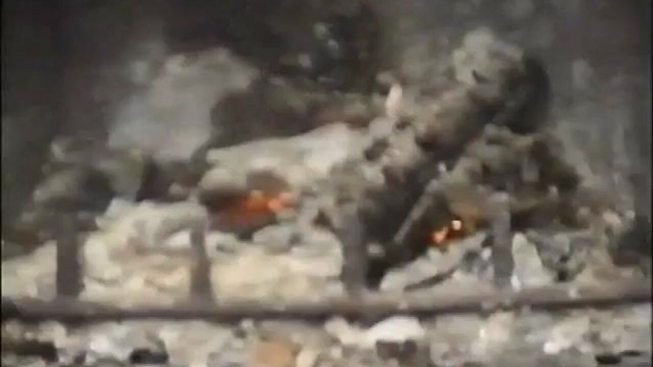 Watch these hairy slaves get their scat and pooped out in this wild couple video