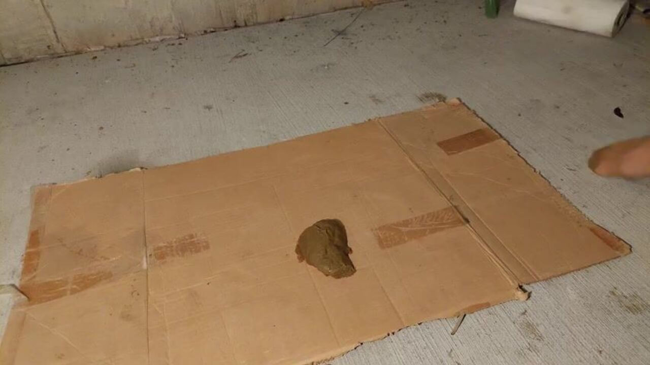 Get ready for a filthy footjob as I scat on your feet and trampling your brains out