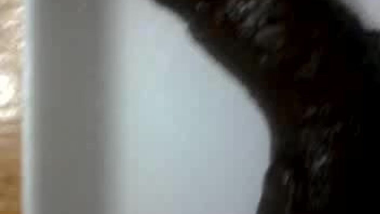 Watch this dirty scat porn video with a scatty slut getting off!