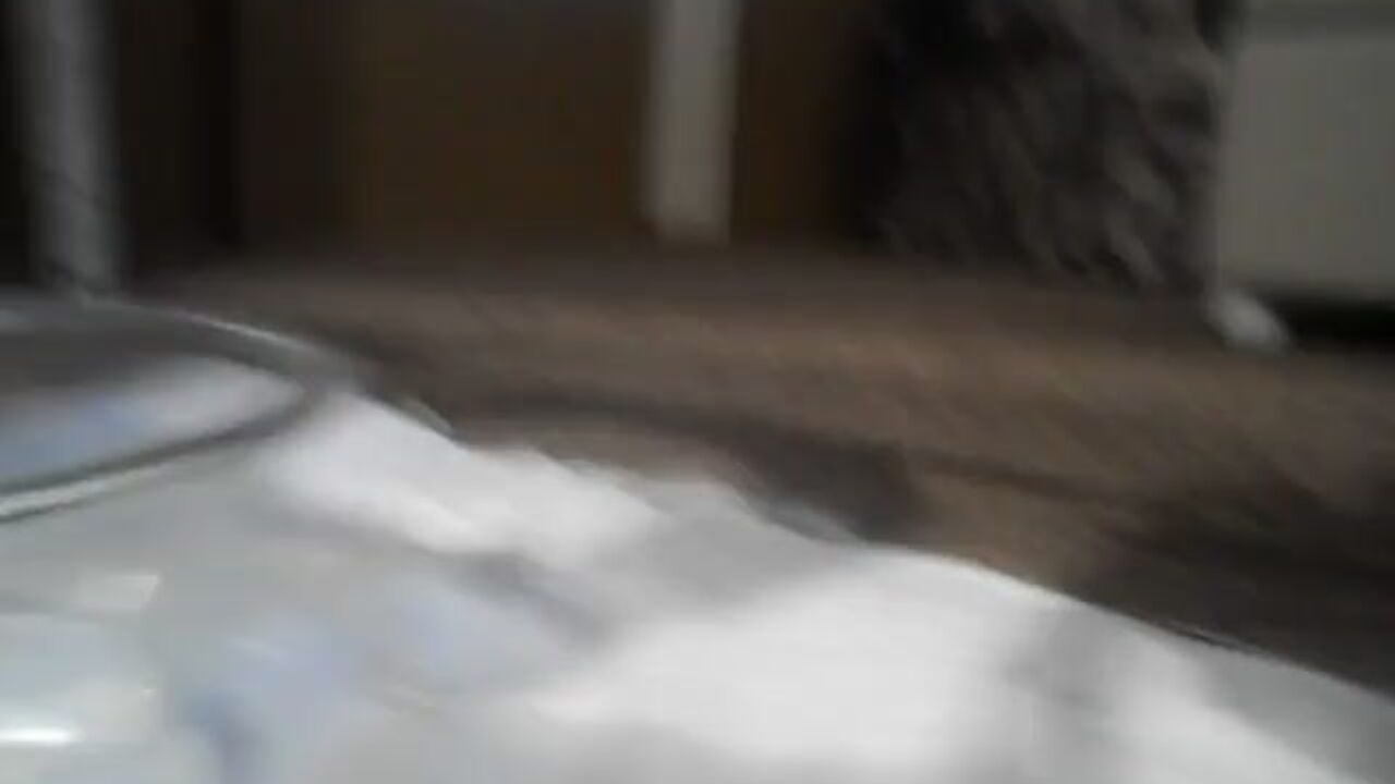 Watch this BBW Scat get her scat stuffed and show off her filthy mouth in a wild video