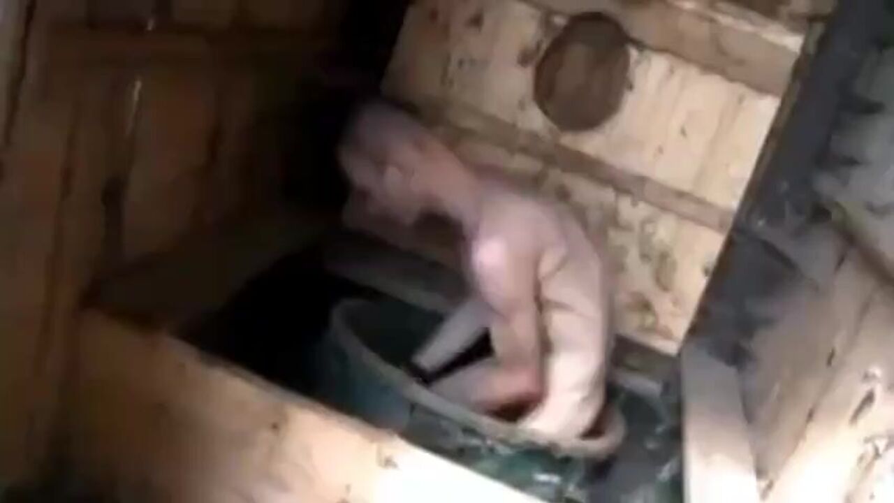 Watch this kinky scat porn video featuring a hog-like eater in the bog