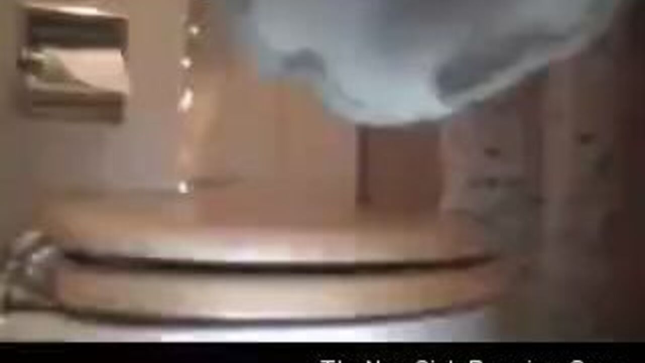 Posh scat slaves get kinky with scat play and scat videos