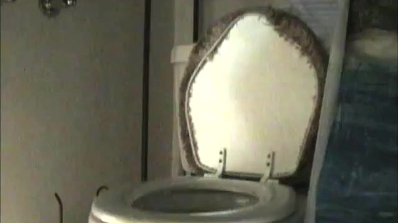 Watch Dark Grainy toilet scenes with scat fetish and scat porn