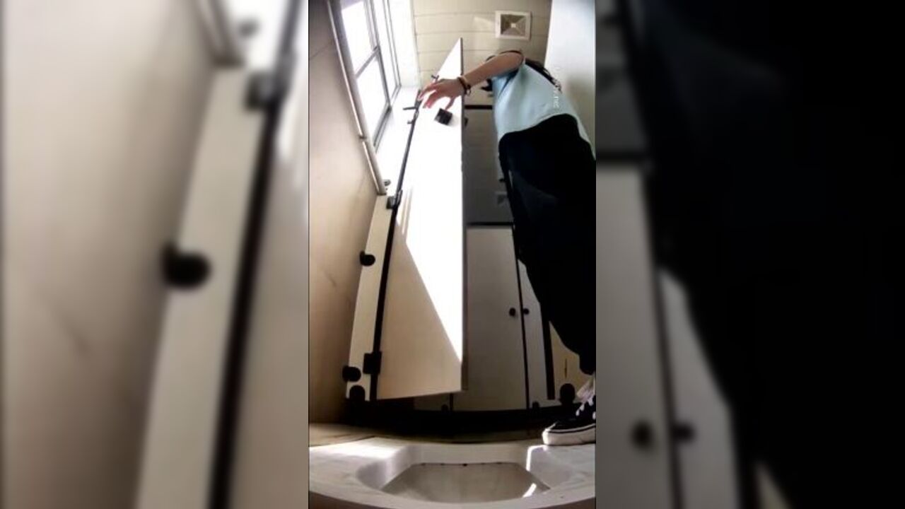 Watch these filthy scat babes get their pussies and butts off in a wild scat video