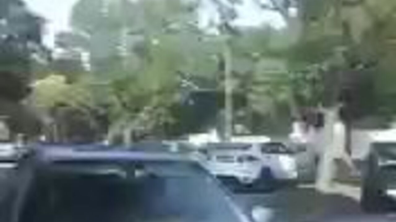 Watch this filthy slut scat and get her holes drilled hard in bushes