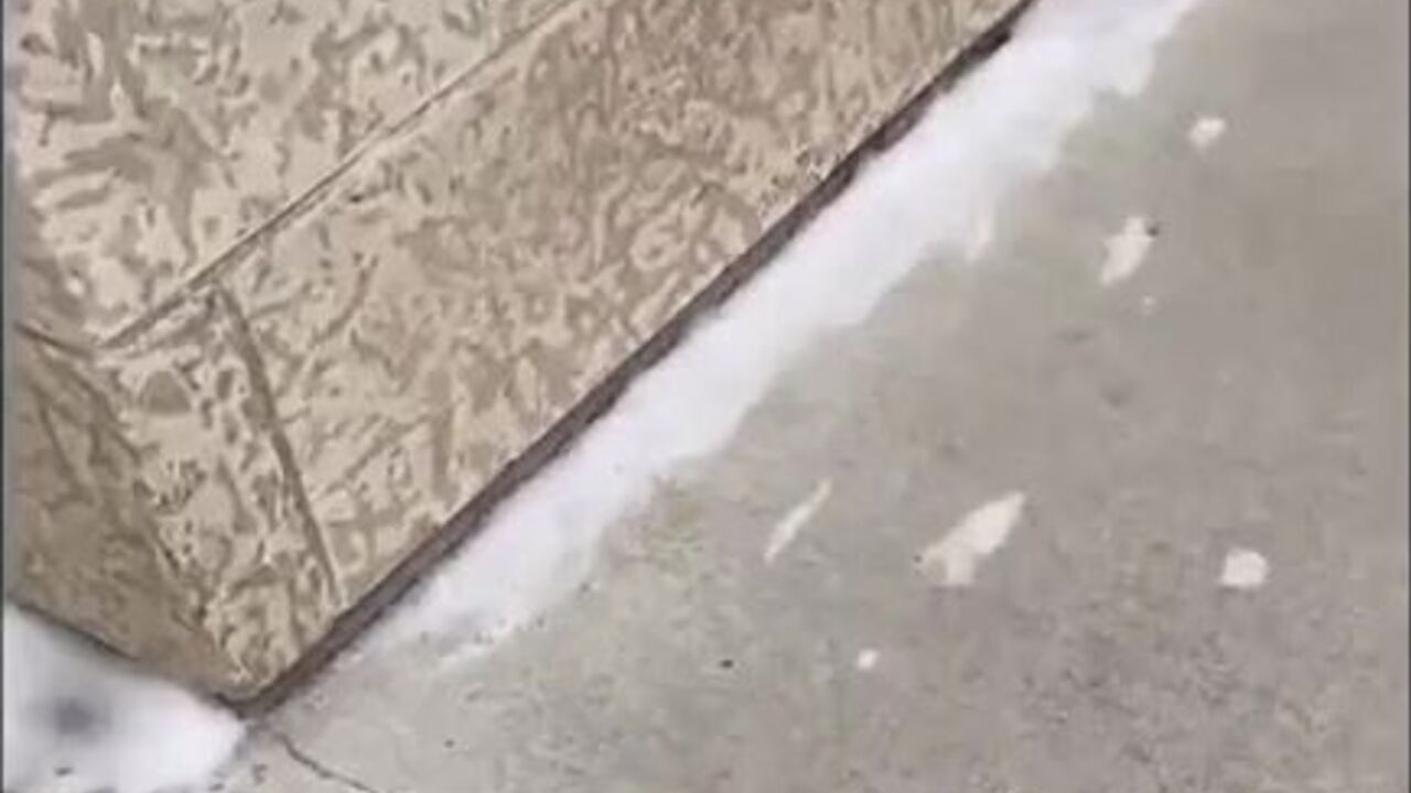 Watch scat porn like a filthy slut - no limits!