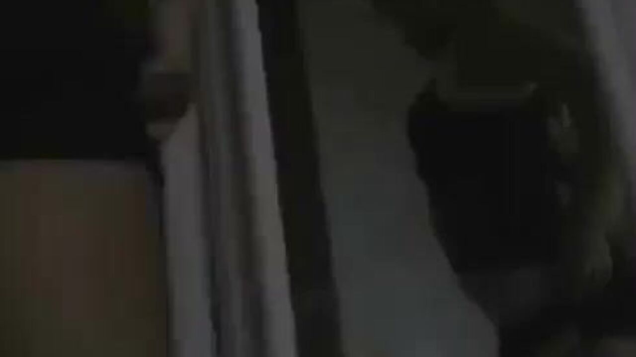 Pornstar Scatters her Pussy and Shakes Her Ass in Pooped Fetish Video