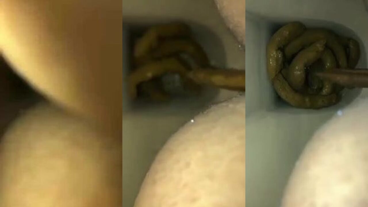 Watch these filthy sluts scat and moan in this hardcore porn video