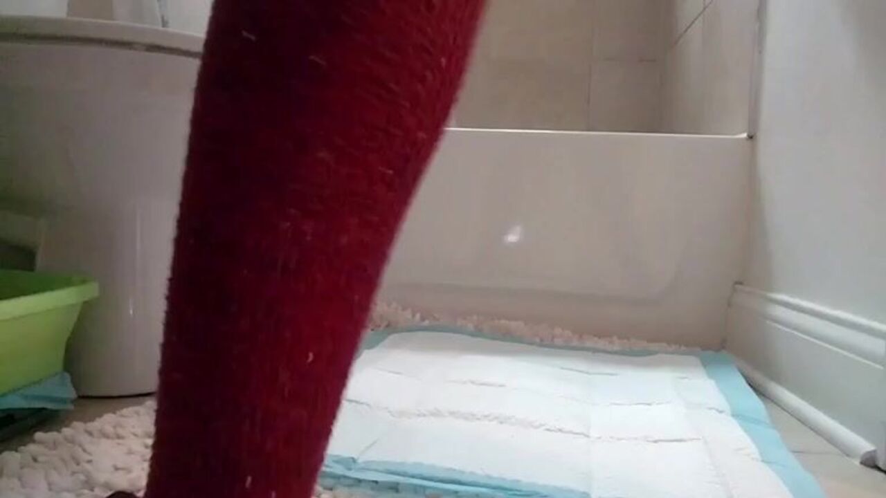 Cassie's thick, high-heels scat video: in her high-heels, Cassie gets a hard dick in her tight,