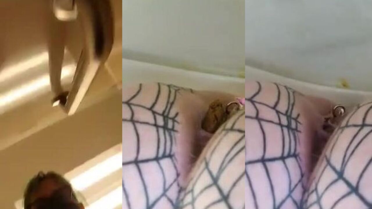 Big scat porn video with a scatty woman getting her pussy drilled hard