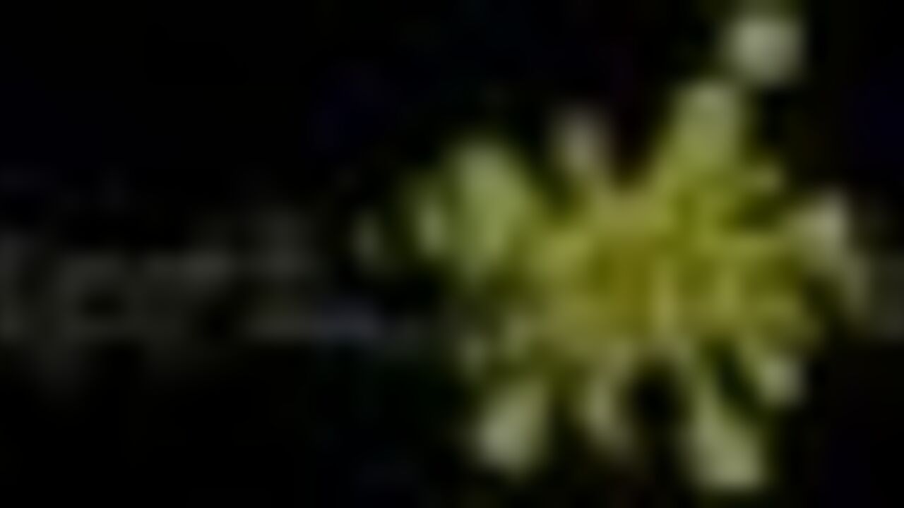 Get a dirty look at this poo-drenched slut getting her pussy drilled