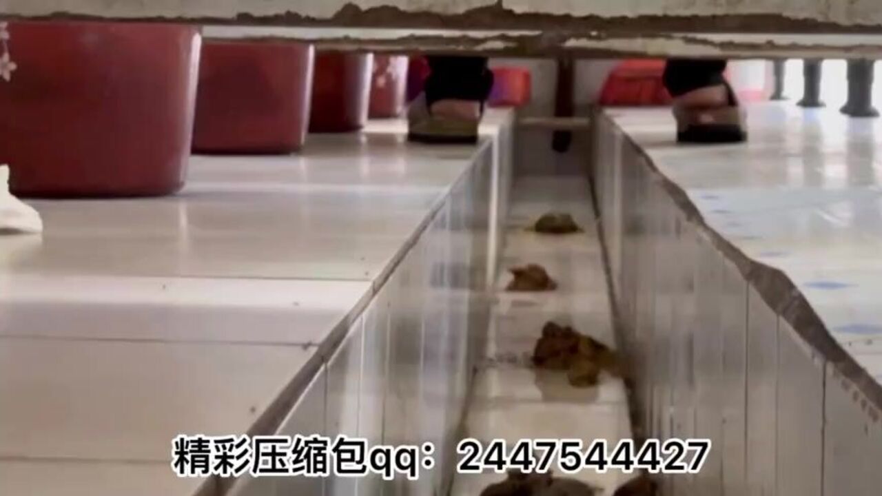 Watch these stunning Chinese beauties pooped in the toilet like wild animals