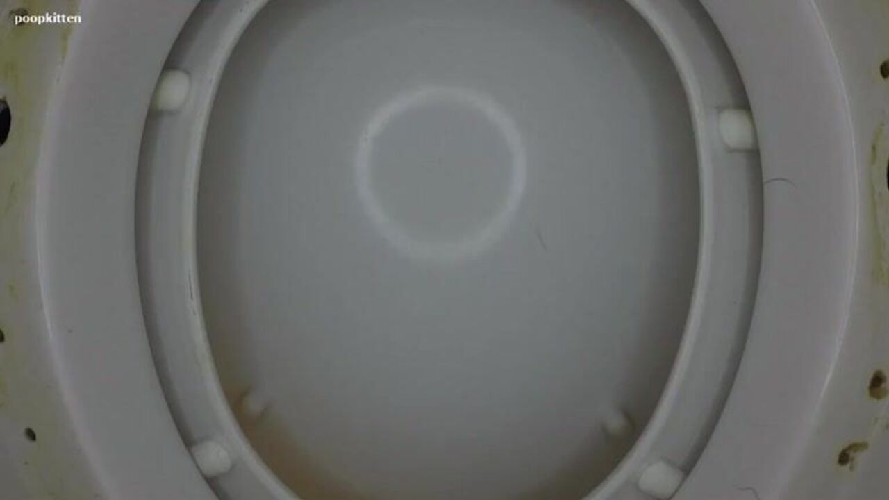 Watch this scat porn video of a scat girl getting her pussy and ass pooped out