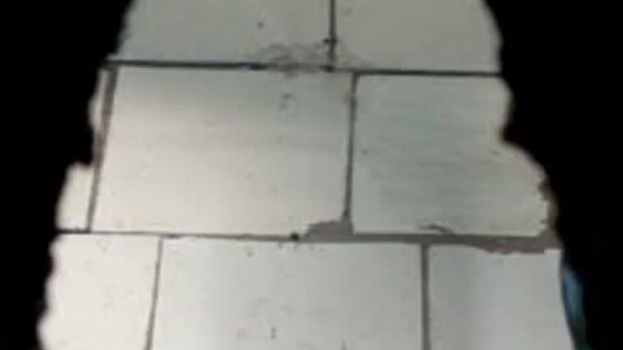 Watch these filthy sluts get their butts scat and scatting in this hot porno