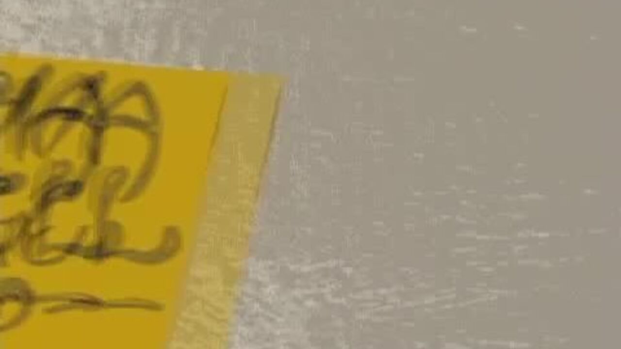 Watch this filthy slut get her pussy pounded in scat porn scene