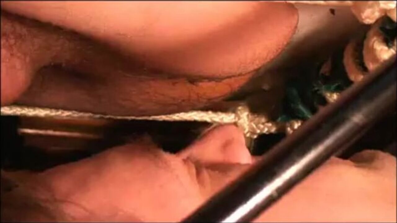 Up close and personal: A filthy scat feast for your eyes and mouth