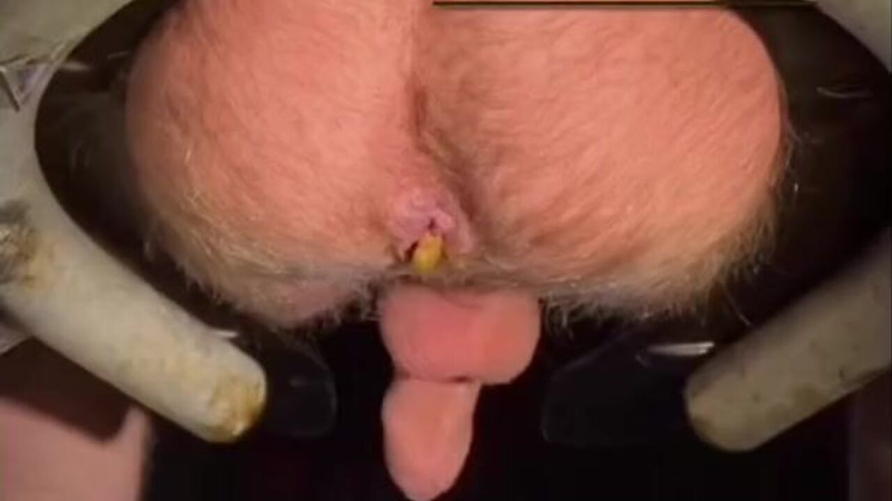 Hot scat porn featuring a spoon-fed & fucked dude