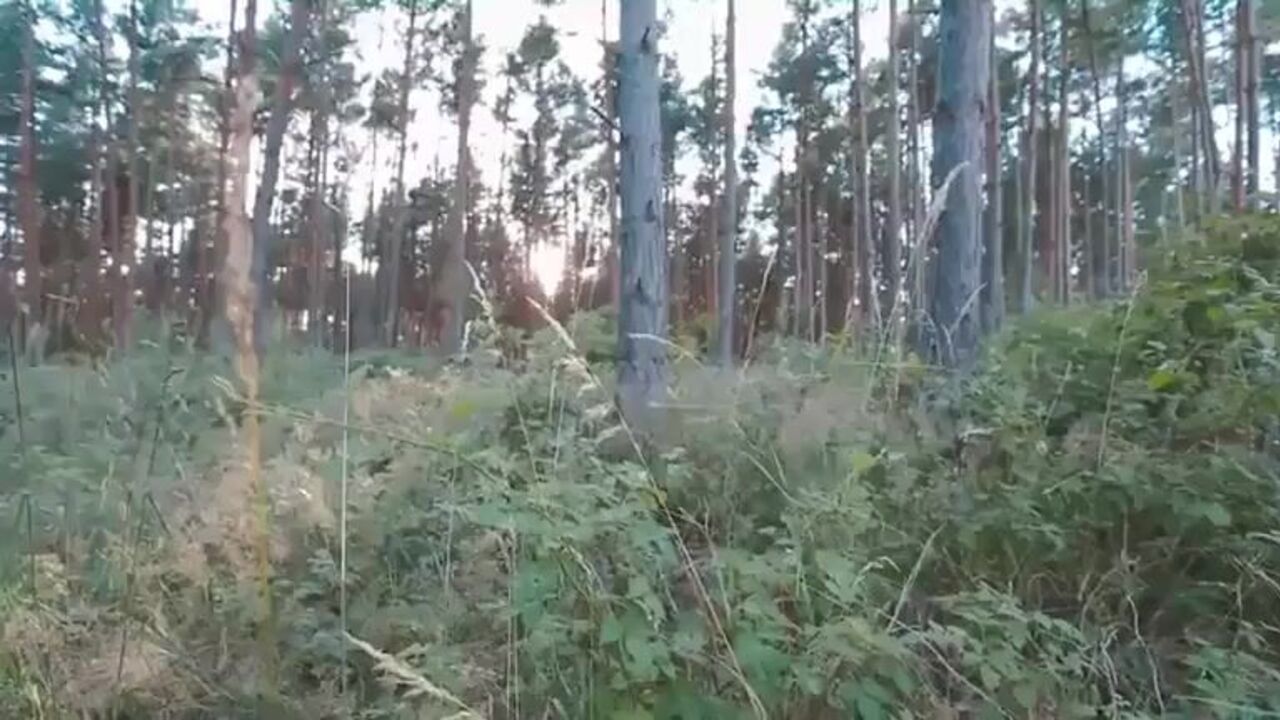 Watch this filthy scat porn video of a scat girl getting her holes drilled hard and deep