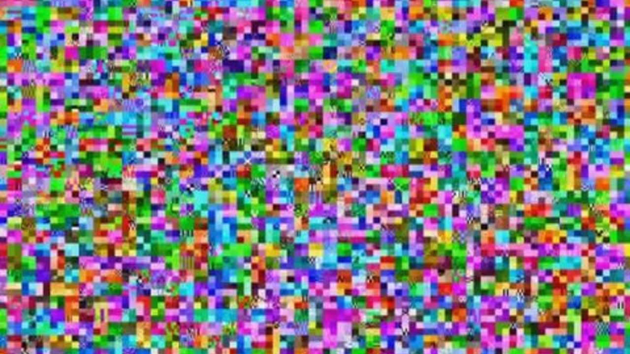 Watch this filthy slut get her scat examined and filled with piss