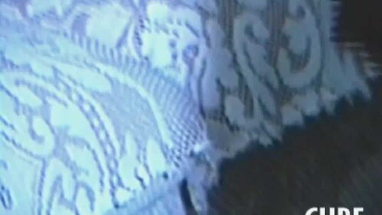 Watch these kinky scats get drilled in wild porn videos