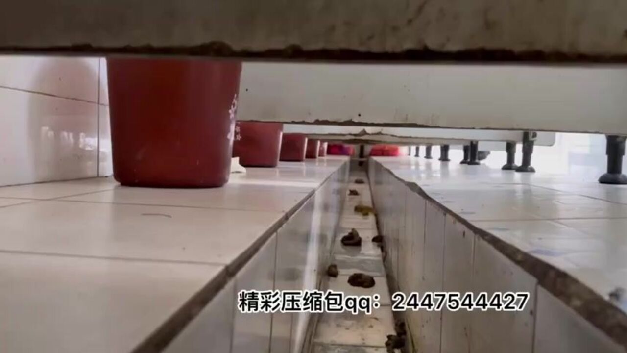 Watch these stunning Chinese women pee in the toilet like little fish!