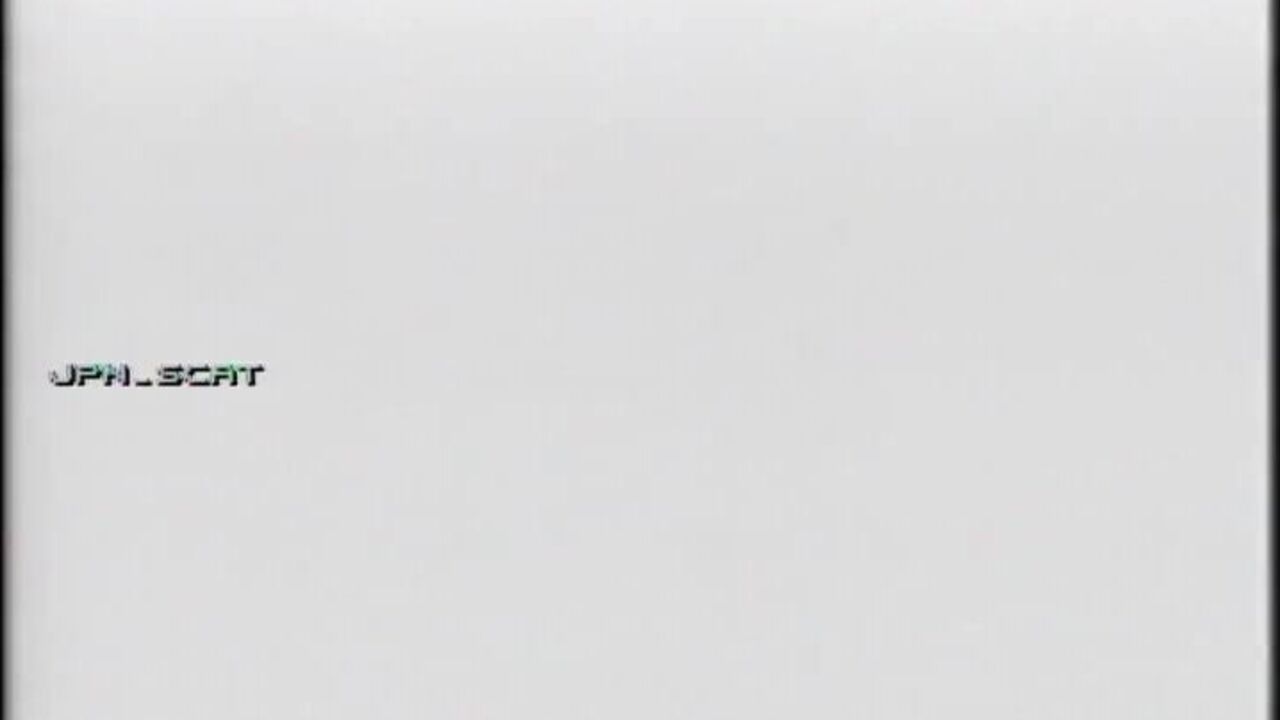 Watch as scatty slaves get humiliated and sat on while shitting on a chair