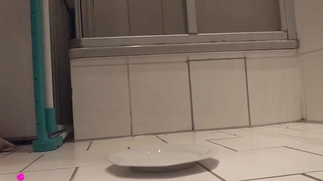 Watch this stunning scat pornstar get her delicious hole drilled on a plate